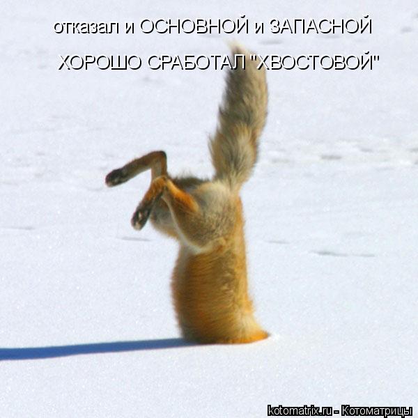 4743317_5S (600x600, 40Kb)
