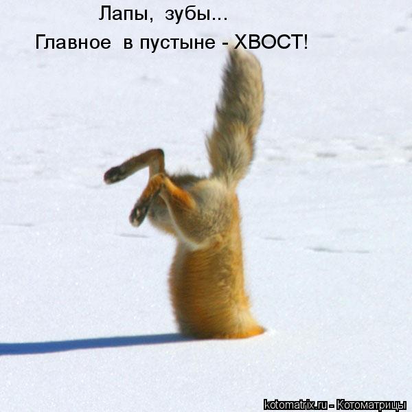 4743317_sH (600x600, 37Kb)