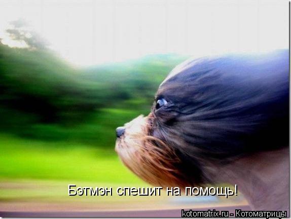 4743317_4J (574x432, 28Kb)