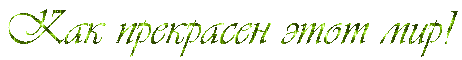 нпс11 (462x60, 13Kb)