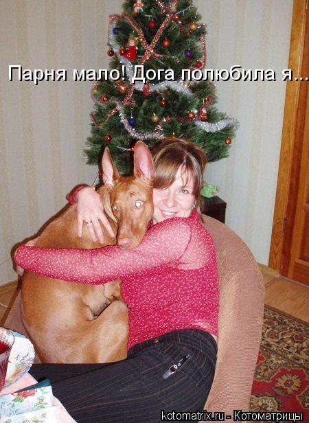 4743317_Mh (450x616, 60Kb)