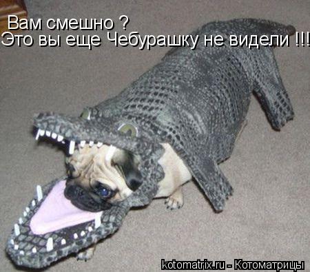 4743317_lv (450x395, 37Kb)