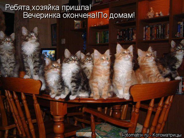 4743317_fj (640x480, 58Kb)