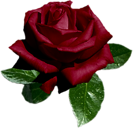 151757519_88156873_94 (274x264, 75Kb)