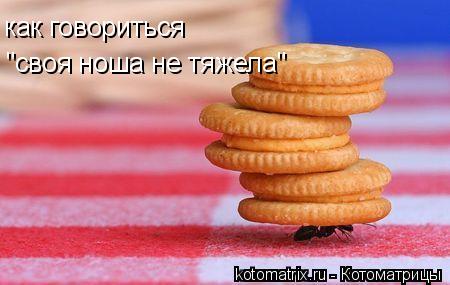 4743317_P7 (450x285, 24Kb)