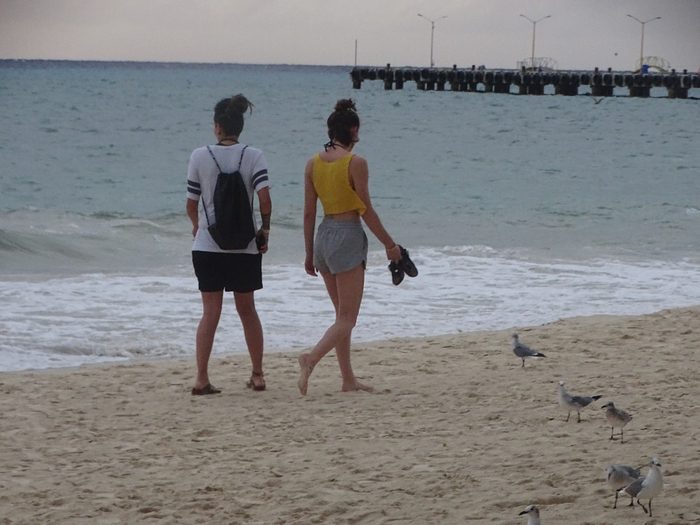 DSC00666 (700x525, 350Kb)