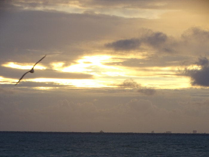 DSC00667 (700x525, 286Kb)