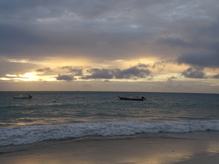 DSC00669 (700x525, 301Kb)