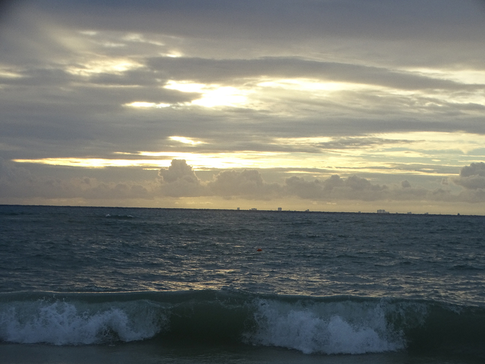 DSC00684 (700x525, 326Kb)