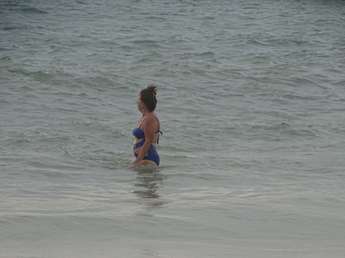 DSC00685 (700x525, 317Kb)