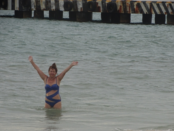 DSC00687 (700x525, 334Kb)