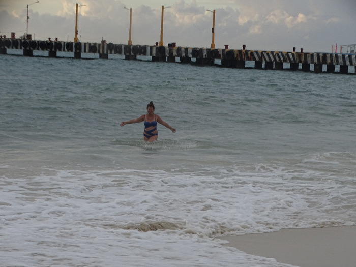DSC00689 (700x525, 317Kb)