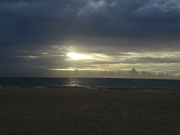 DSC00707 (700x525, 269Kb)
