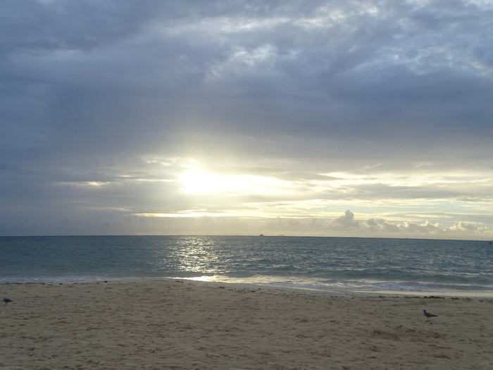 DSC00712 (700x525, 297Kb)
