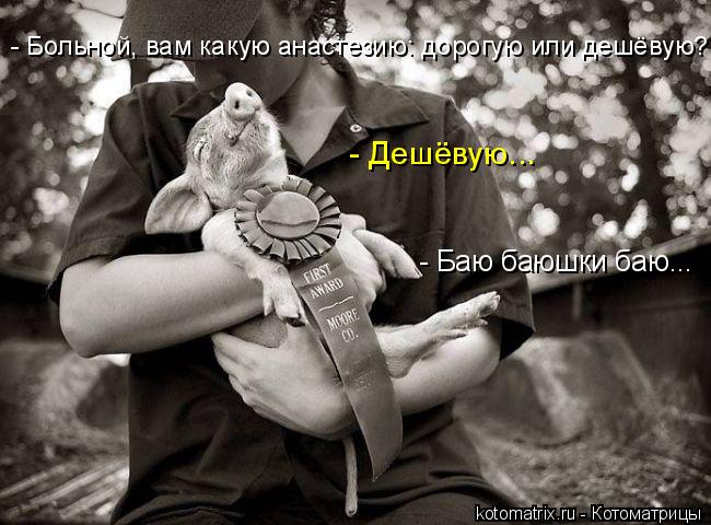 4743317_lc (650x480, 61Kb)