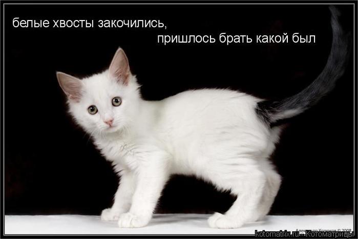 4743317_kd (700x466, 29Kb)