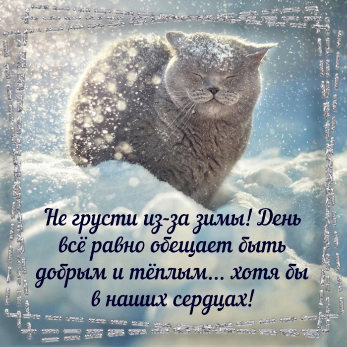 4743317_68937741 (700x700, 367Kb)
