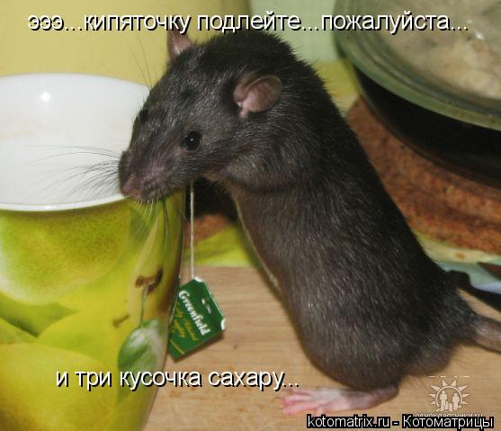 4743317_lx (557x479, 40Kb)