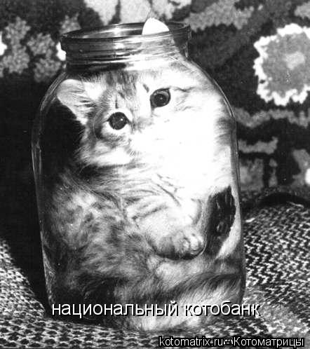 4743317_R (442x498, 45Kb)