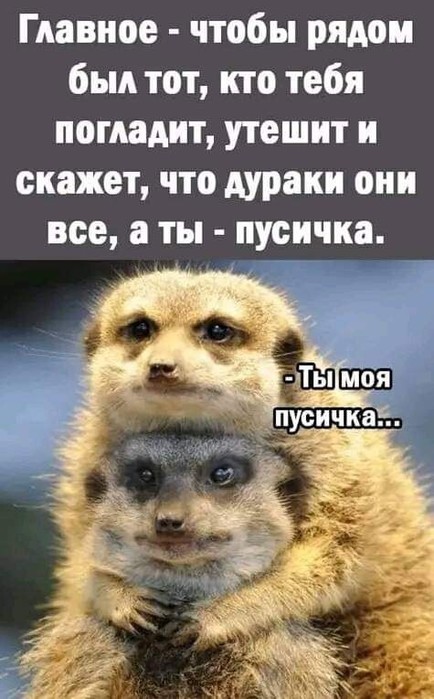 4743317_image20231212_08_27_54 (434x700, 85Kb)