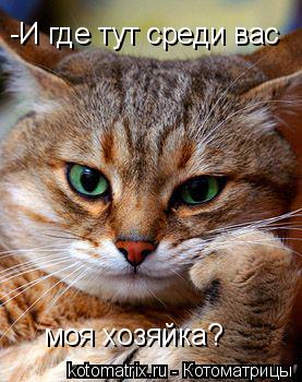 4743317_CA (277x350, 29Kb)