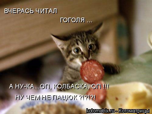 4743317_4D (500x375, 28Kb)