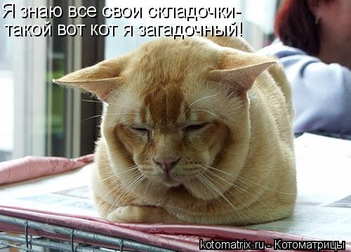 4743317_W0 (500x359, 36Kb)
