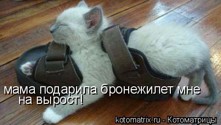 4743317__p (450x255, 23Kb)