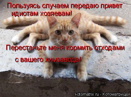 4743317_Id (504x374, 48Kb)