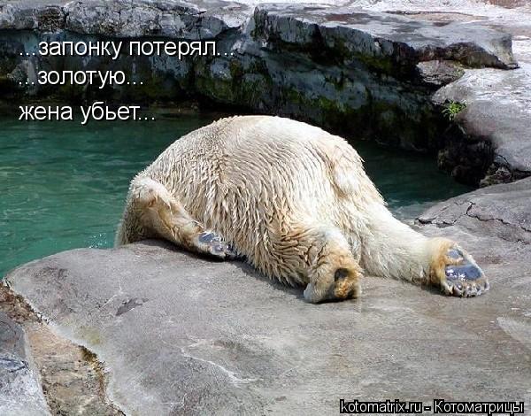 4743317_TP (600x470, 69Kb)