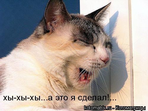 4743317_0 (500x375, 43Kb)