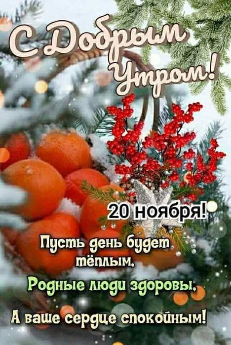 IMG-20231120-WA0003 (468x700, 64Kb)