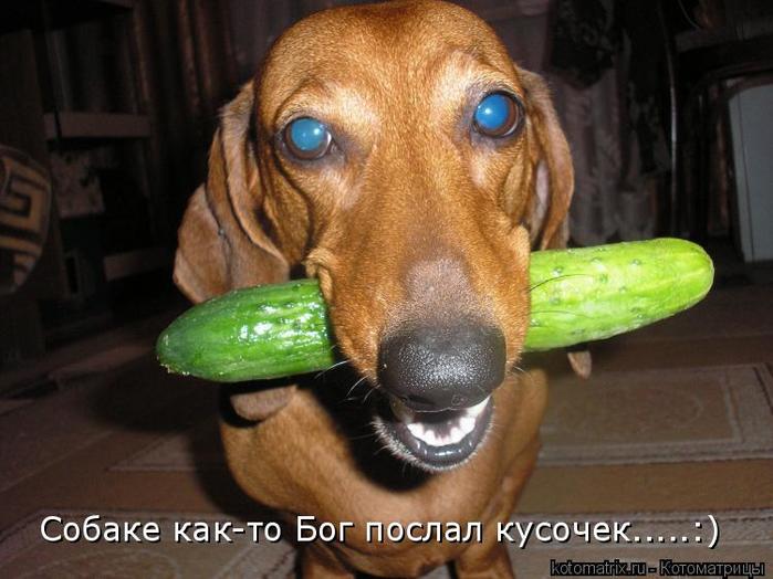 4743317_Lud (700x524, 54Kb)