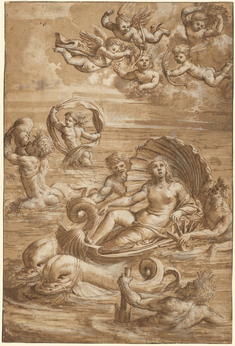 1535 The Triumph of Galatea, , , . , . . 41.1 × 27.7 cm.    (476x700, 145Kb)
