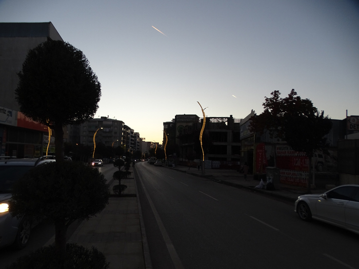 DSC00639 (700x525, 225Kb)