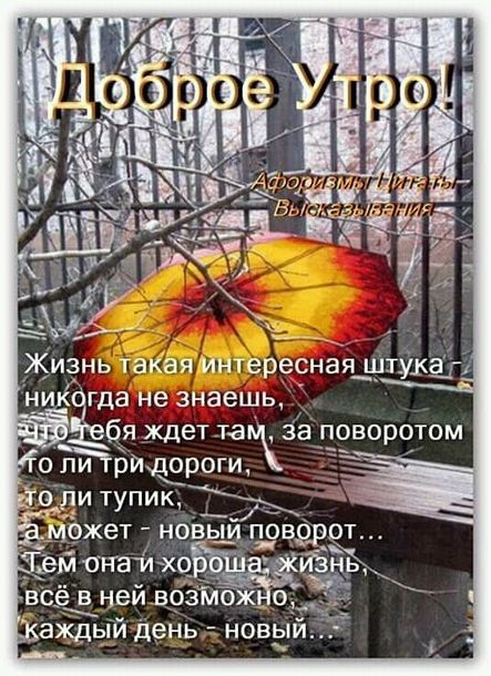 3109898_jizn_interes (443x610, 76Kb)