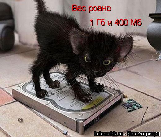 4743317_6P (520x443, 44Kb)
