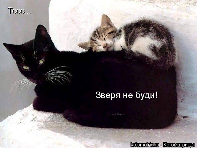 4743317_eN (640x480, 41Kb)