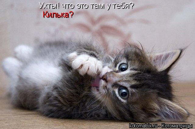 4743317_qy (640x425, 44Kb)