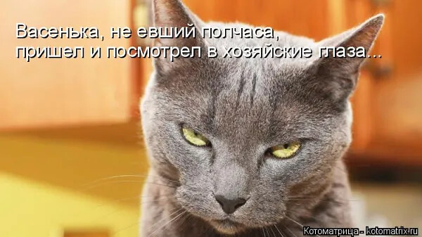 4743317_i_3 (600x337, 67Kb)