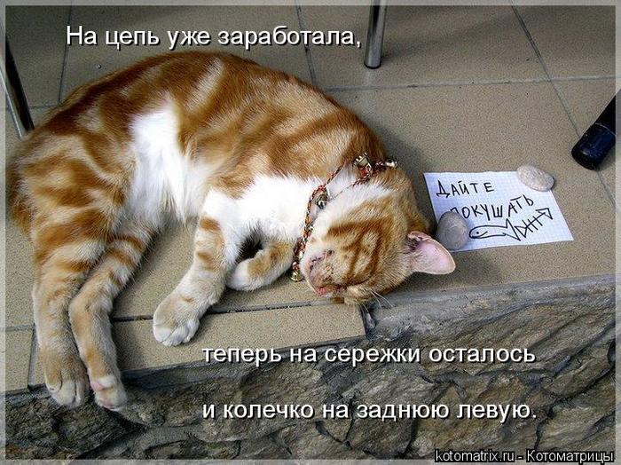 4743317_em (700x524, 93Kb)
