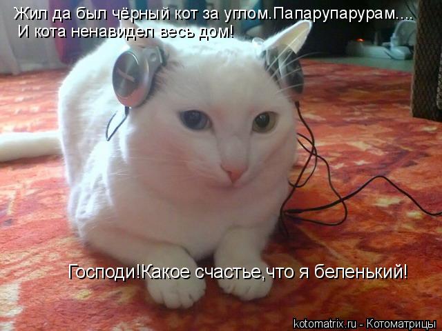 4743317_JA (640x480, 49Kb)