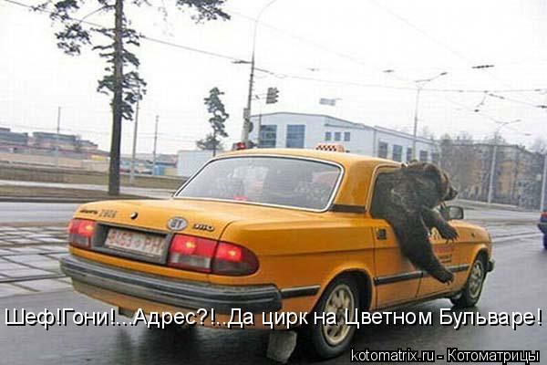4743317_S (600x400, 40Kb)