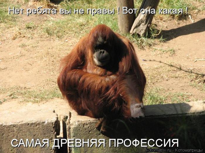 4743317_EA (700x524, 82Kb)