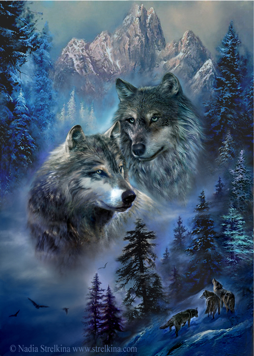 Wolves (499x700, 481Kb)