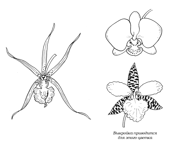 Орхидеи из ткани. МАСТЕР-КЛАСС (2) (674x561, 24Kb)