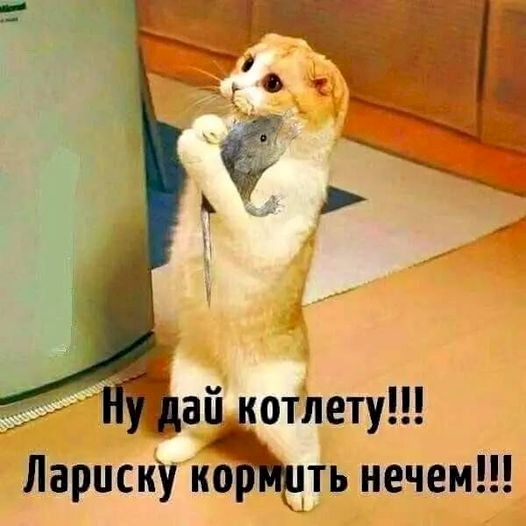 4743317_8e08319d (526x526, 46Kb)