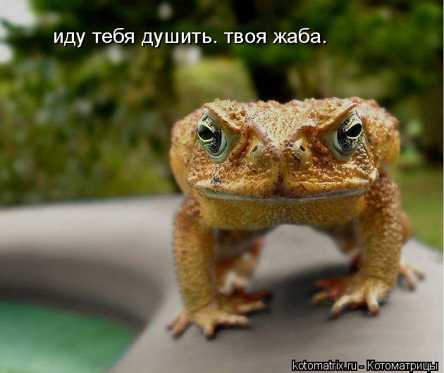 4743317_pZ (630x530, 46Kb)