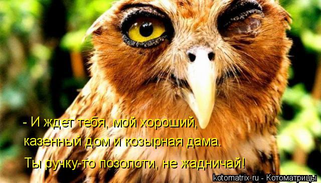 4743317_g (640x366, 56Kb)