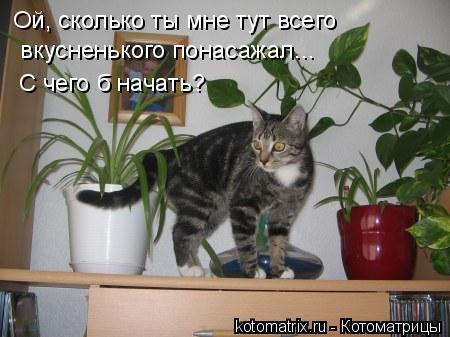 4743317_yl (450x337, 32Kb)